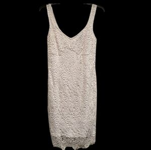 White Guess Los Angeles Lace Mini Dress
